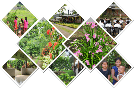 Guwahati Psychiatric Healthcare facility and clinical campus collage