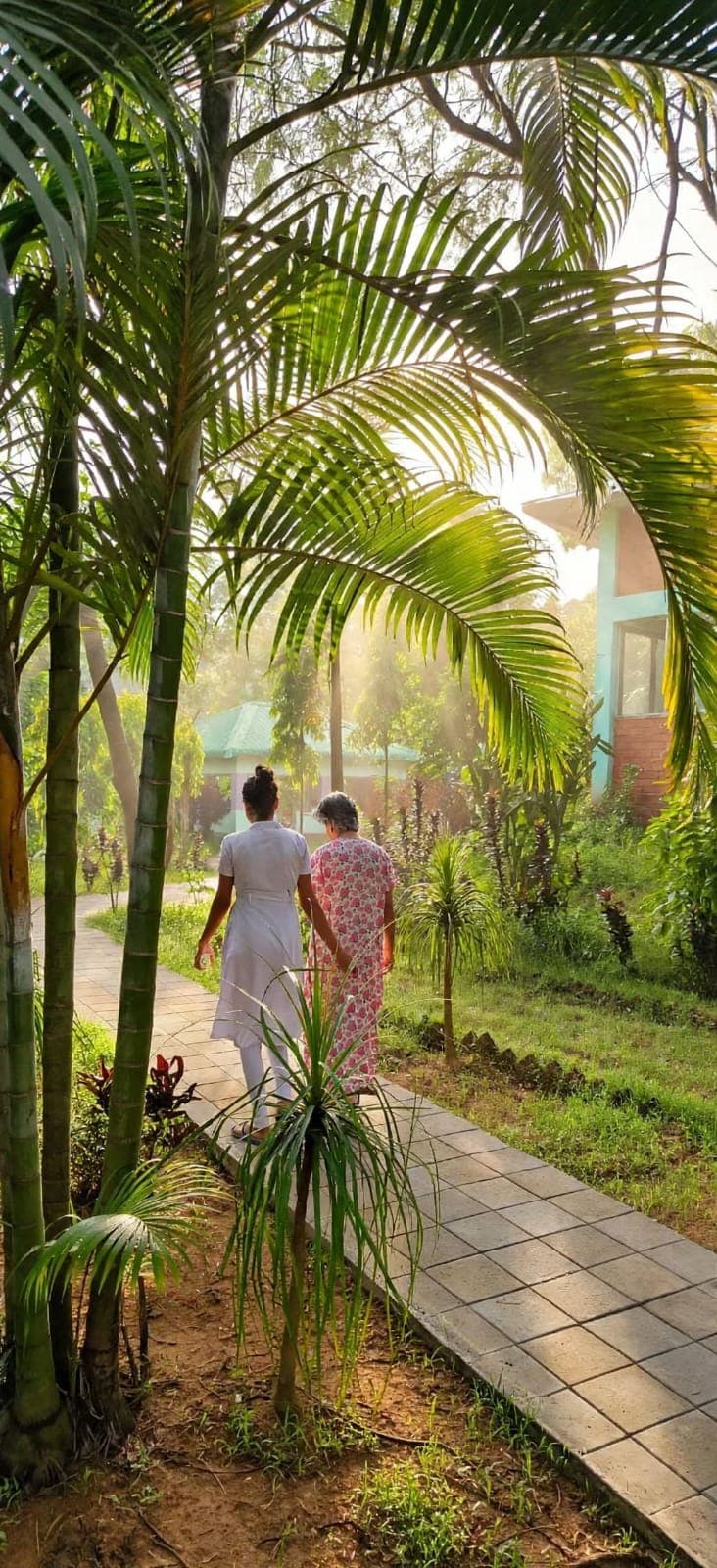 Gallery Image 11